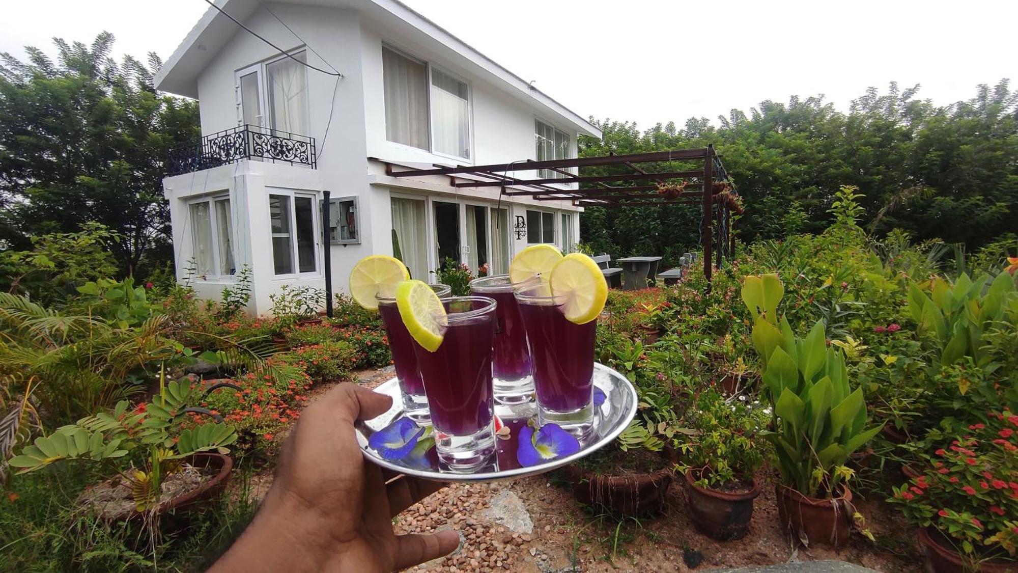 Vaksana Farm Stay Gudraippattu المظهر الخارجي الصورة