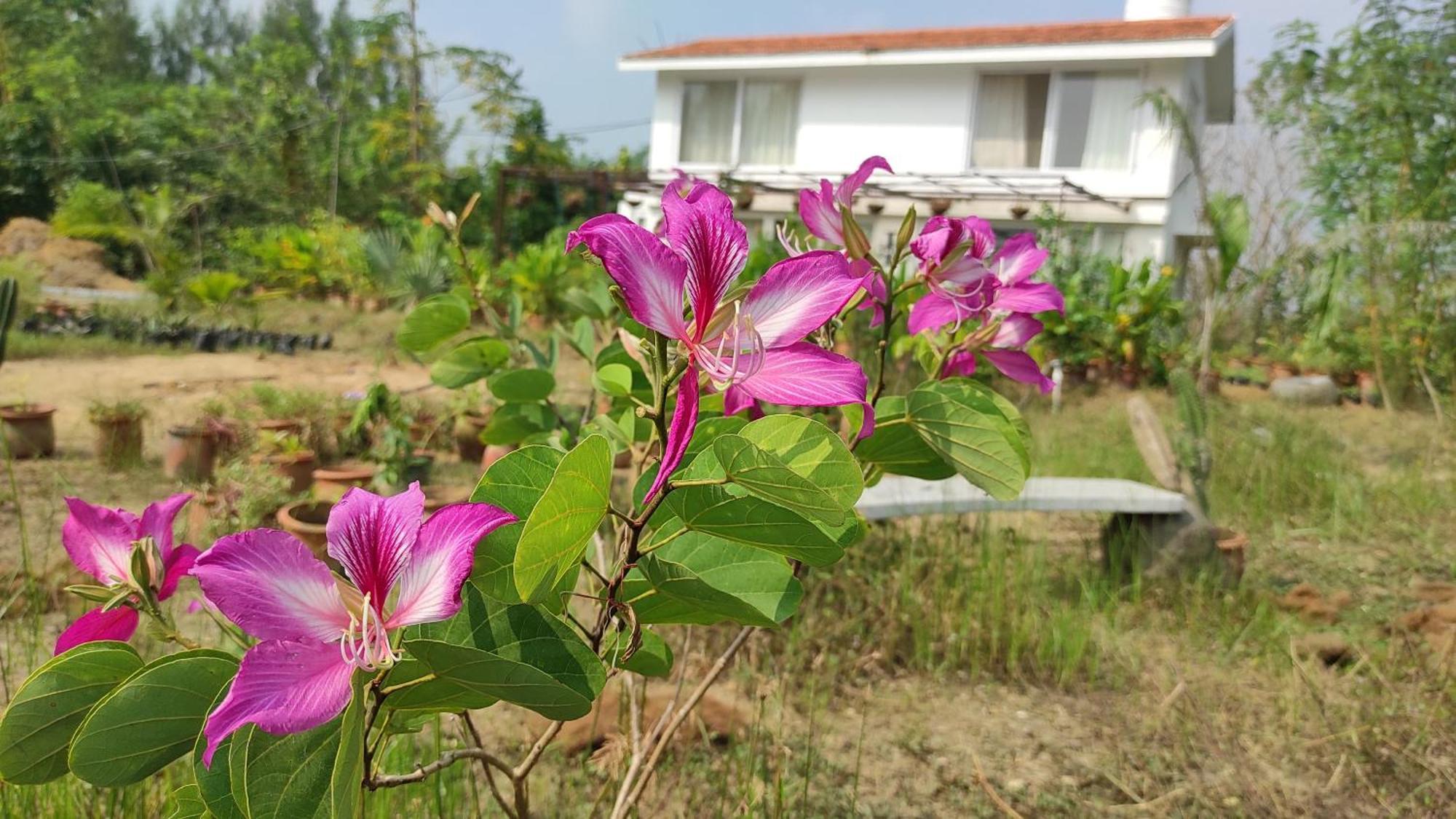 Vaksana Farm Stay Gudraippattu المظهر الخارجي الصورة