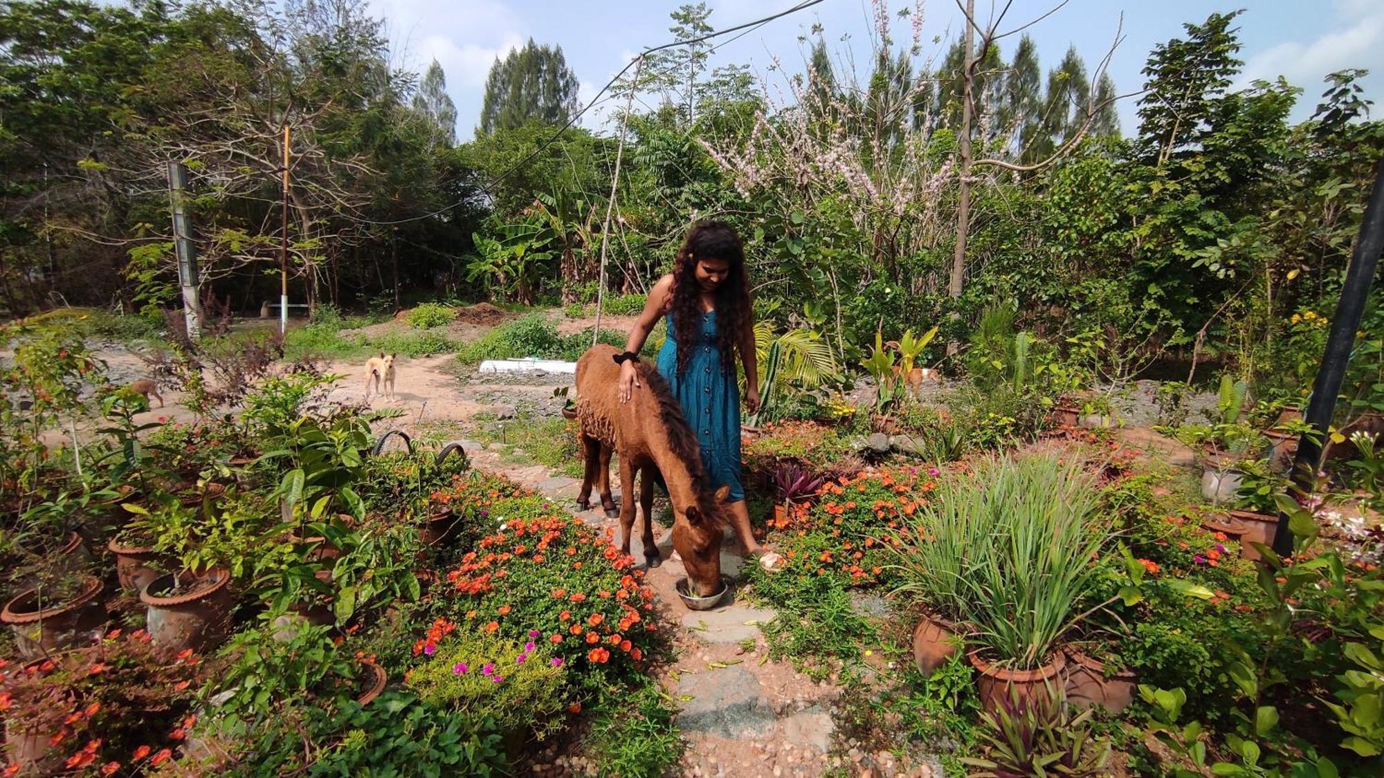 Vaksana Farm Stay Gudraippattu المظهر الخارجي الصورة