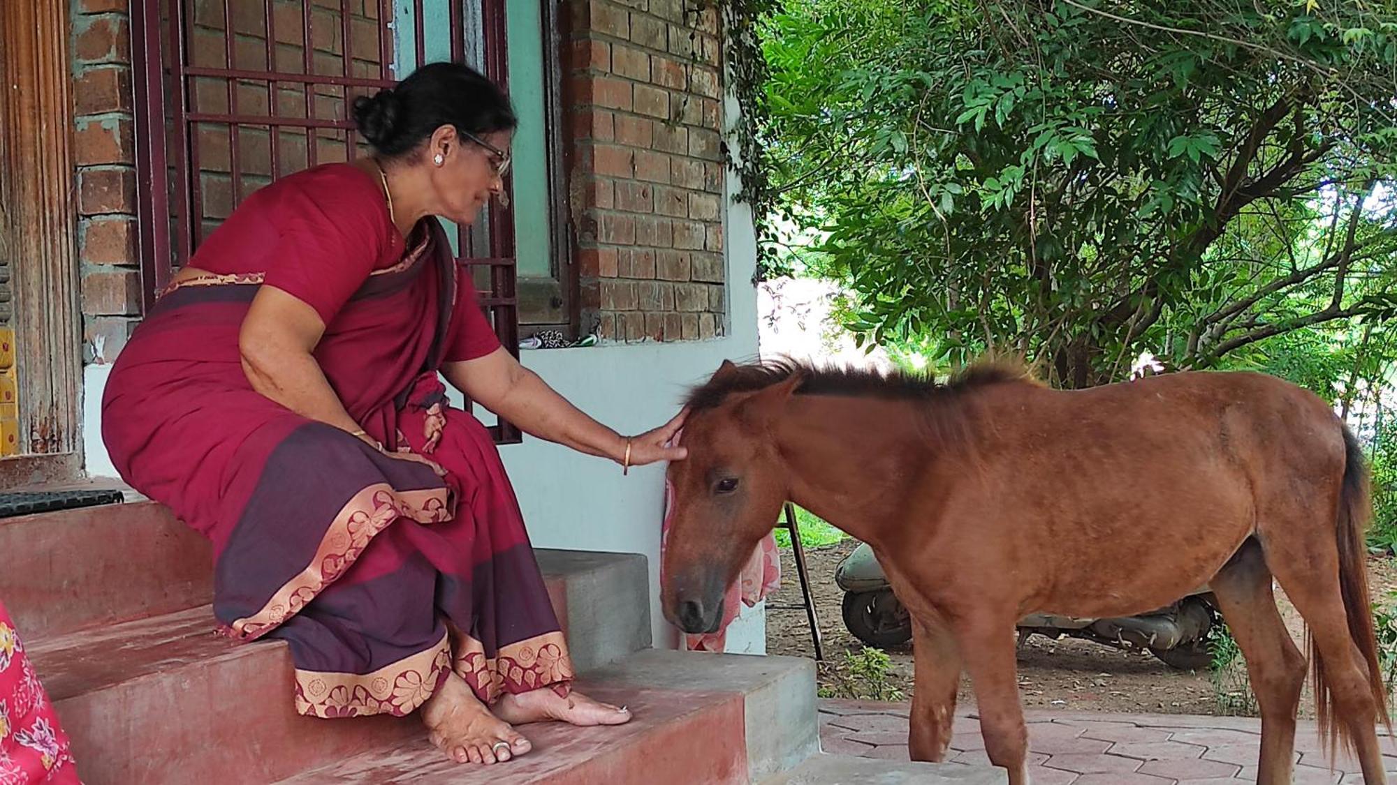 Vaksana Farm Stay Gudraippattu المظهر الخارجي الصورة