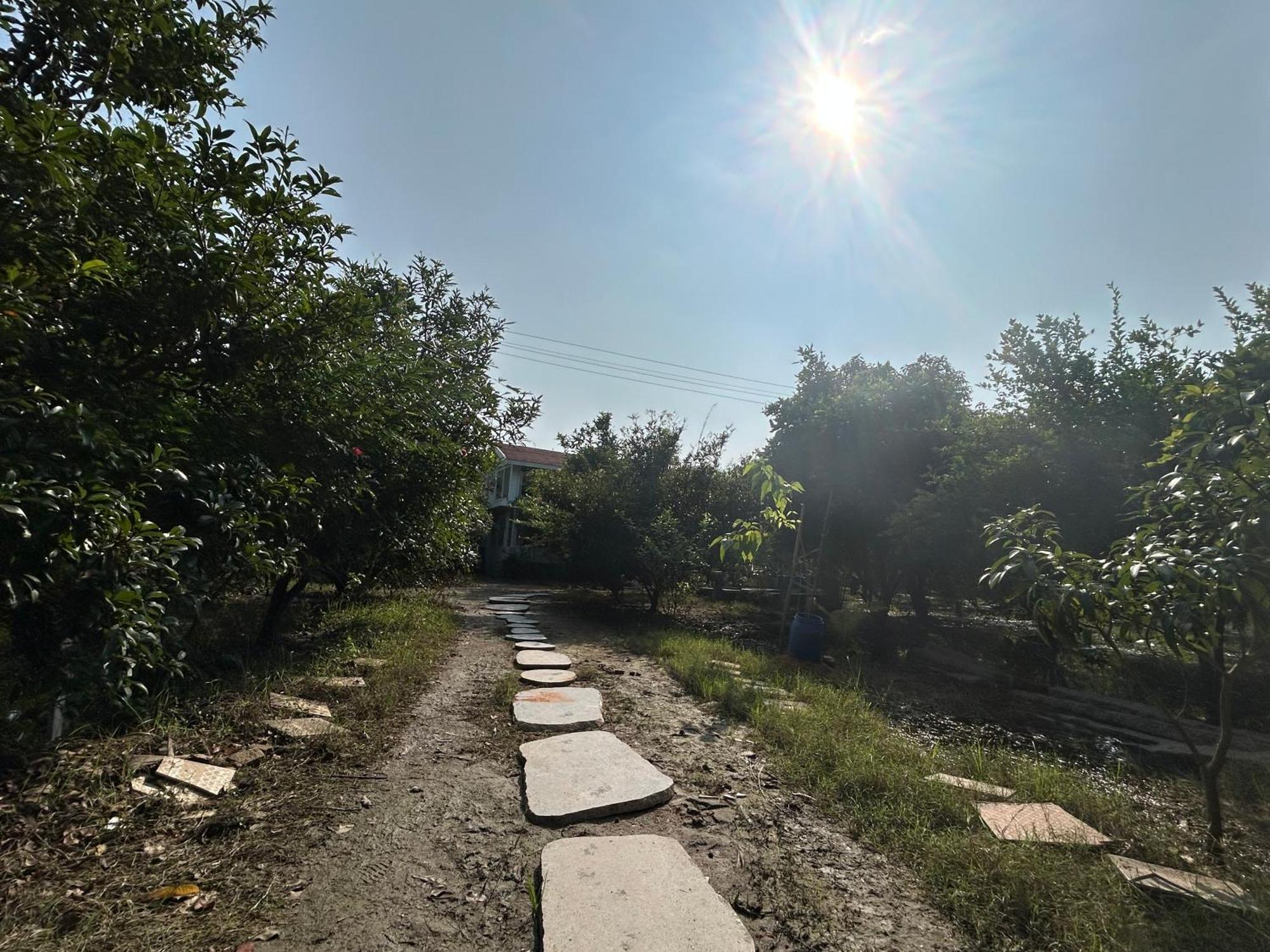 Vaksana Farm Stay Gudraippattu المظهر الخارجي الصورة
